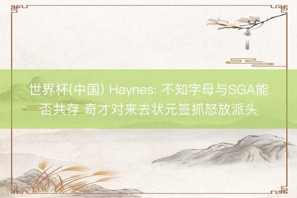 世界杯(中国) Haynes: 不知字母与SGA能否共存 奇才对来去状元签抓怒放派头