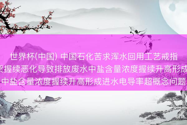 世界杯(中国) 中国石化苦求浑水回用工艺戒指身手专利， 搞定原油性质握续恶化导致排放废水中盐含量浓度握续升高形成进水电导率超概念问题