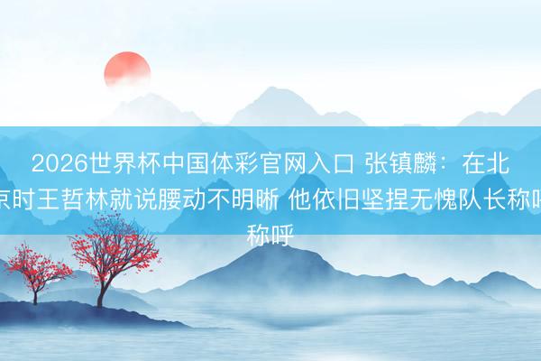 2026世界杯中国体彩官网入口 张镇麟：在北京时王哲林就说腰动不明晰 他依旧坚捏无愧队长称呼