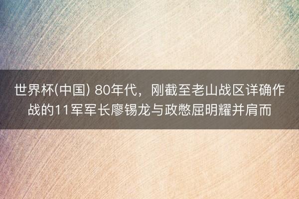 世界杯(中国) 80年代，刚截至老山战区详确作战的11军军长廖锡龙与政憋屈明耀并肩而