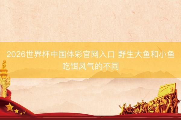 2026世界杯中国体彩官网入口 野生大鱼和小鱼吃饵风气的不同