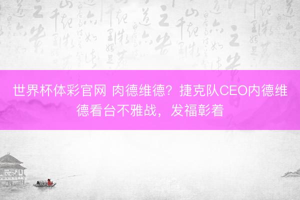 世界杯体彩官网 肉德维德？捷克队CEO内德维德看台不雅战，<a href=