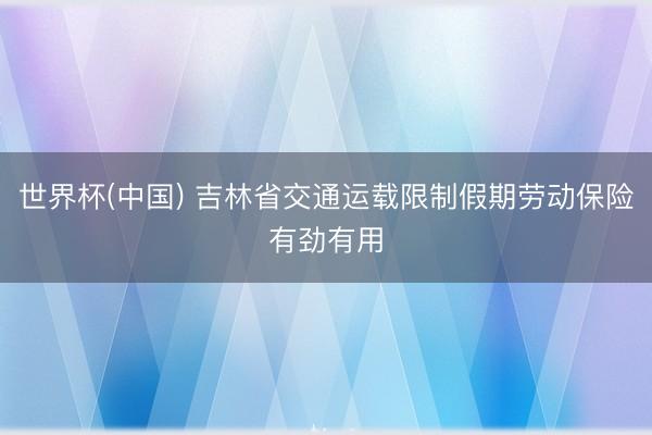 世界杯(中国) 吉林省交通运载限制假期劳动保险有劲有用