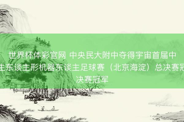 世界杯体彩官网 中央民大附中夺得宇宙首届中学生东谈主形机器东谈主足球赛（北京海淀）总决赛冠军