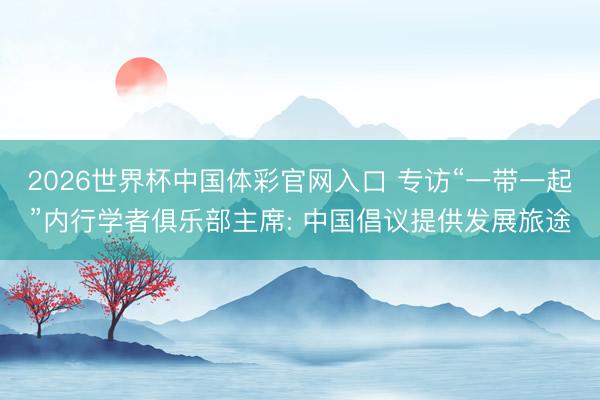 2026世界杯中国体彩官网入口 专访“一带一起”内行学者俱乐部主席: 中国倡议提供发展旅途