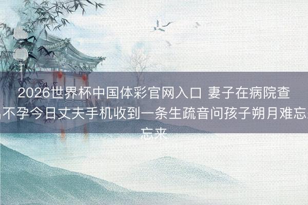 2026世界杯中国体彩官网入口 妻子在病院查出不孕今日丈夫手机收到一条生疏音问孩子朔月难忘来