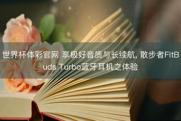 世界杯体彩官网 享极好音质与长续航， 散步者FitBuds Turbo蓝牙耳机之体验
