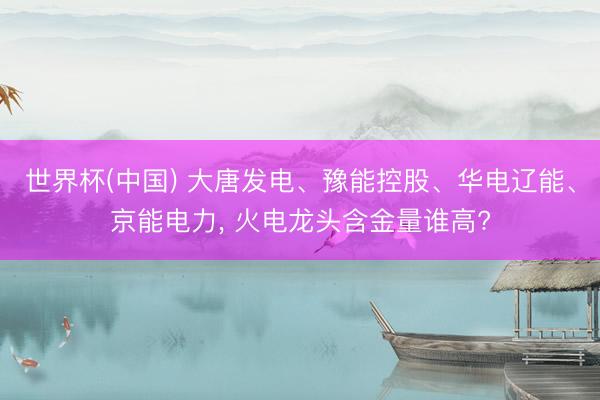 世界杯(中国) 大唐发电、豫能控股、华电辽能、京能电力， 火电龙头含金量谁高?