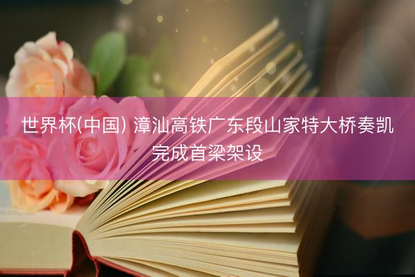 世界杯(中国) 漳汕高铁广东段山家特大桥奏凯完成首梁架设